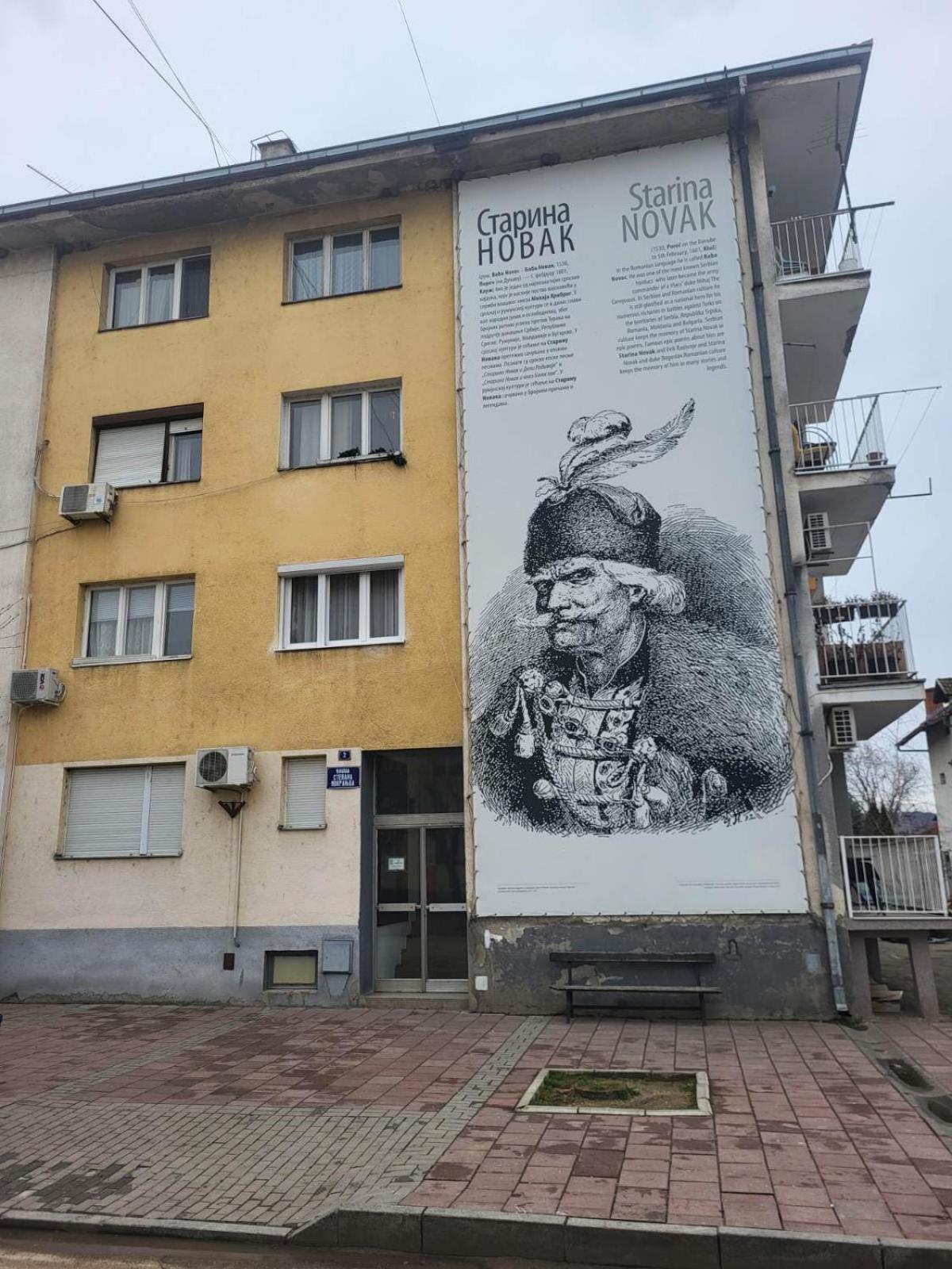 Vuk Apartman Donji Milanovac Exterior photo